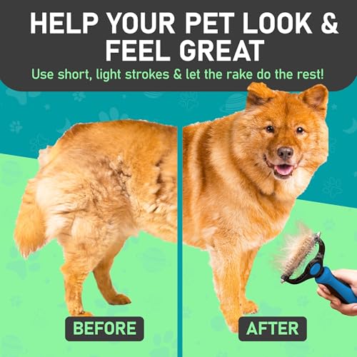 Pet Grooming Rake and Mini Pet Hair Remover Tool (D - Rake & Remover / Large)