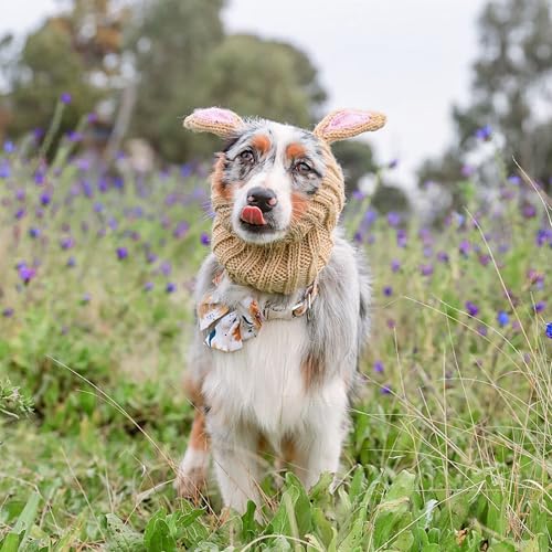 Jack Rabbit Costume (Small)