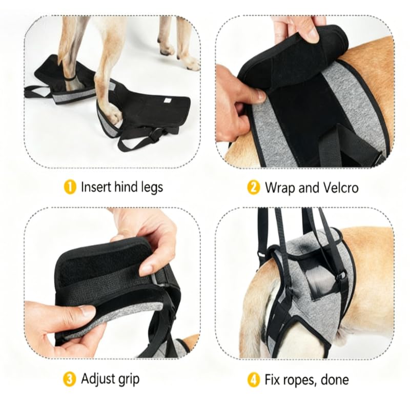 Large Breed Back Leg Support Dog Harness (XL)