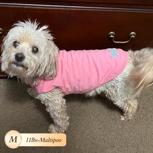 2Pack Cotton Dog Shirt for Small Dogs Soft Striped Tank Top (Medium (7-13lbs) / 05# 2Pack (Green+Striped))