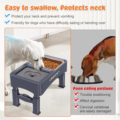 3-in-1 Elevated Dog Bowls with 4 Height Adjustable Raised Stand (Blue)