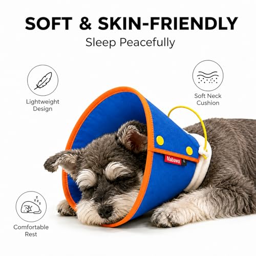 Soft Dog Cone Collar Alternative (Blue / M+)