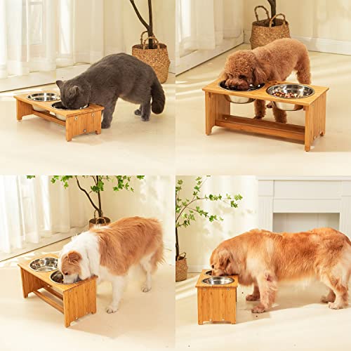 FOREYY Raised Pet Bowls for Cats and Small Dogs (4'' Tall-20 oz bowl)
