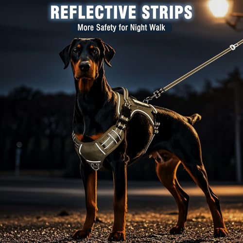 Tactical Service Dog Vest Harness and Leash Set with 10 Patches Brown L (Large / Brown)