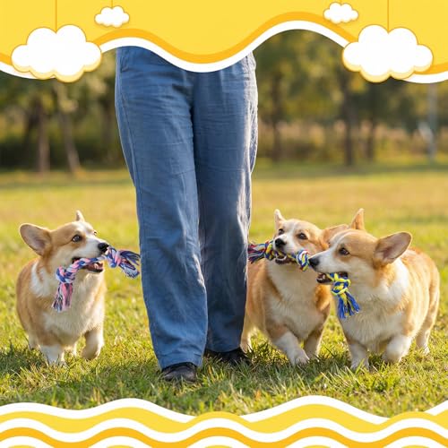60 Pcs Dog Toys Bulk Chew Ropes Dental Cotton Teething 2 Knot Tug of War Toy for Small and Medium Dogs Puppies