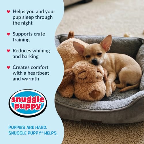 Snuggle Puppy Junior Heartbeat Toy (Biscuit)