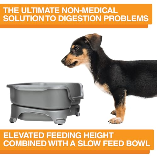 Express Mess Proof Dog Bowls Elevated for Small Breed (Small w/ Metal Slow Feed Bowl / Gunmetal Grey)