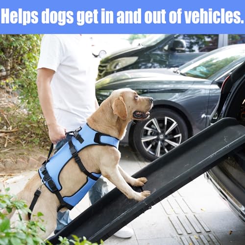 Dog Lift Harness for Large Dogs (Blue / L)