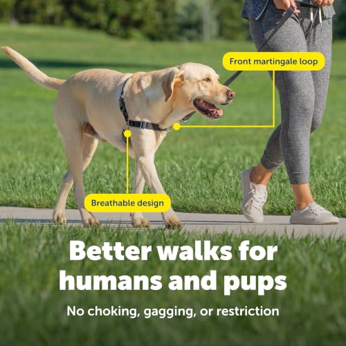 Easy Walk Harness (Large / Raspberry/Gray)