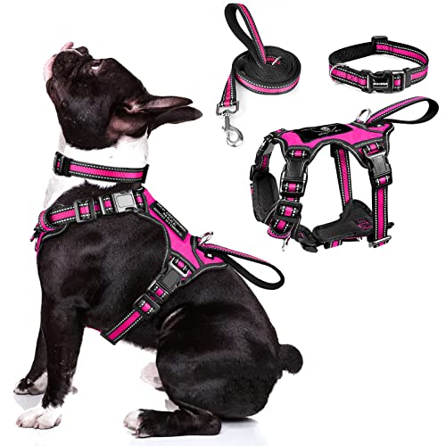 Pet Harness Collar and Leash Set (Medium / Rosy)