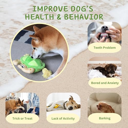 Interactive Dog Toys (Turtle)