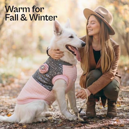 Christmas Dog Jacket (Medium / Fancy Flower Quilted Jacket Pink)
