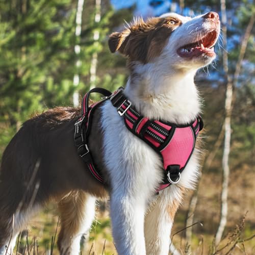 Dog Harness Medium Sized (Pink / Medium)