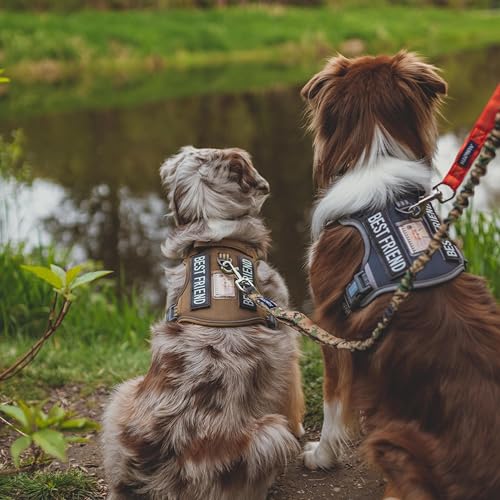 Dog Harness for Small Medium Dogs (Camo - Desert Camo / S(Neck:14-21",Chest:20-31"),18-35 lbs)