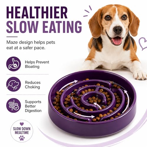 Ceramic Slow Feeder Dog Bowl (Purple)