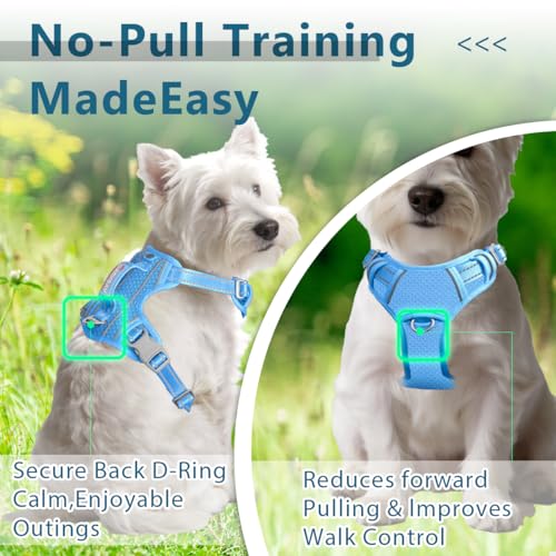 Dog Harness No Pull with ID Tag Pocket (Small(Chest:19.5-26”) / Blue)