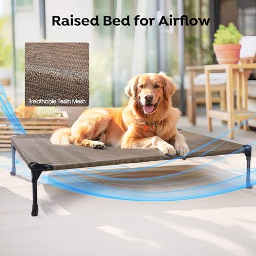 Outdoor Elevated Dog Bed with Waterproof Bolster Cushion (Brown / 32.0"L x 25.0"W x 7.0"Th)