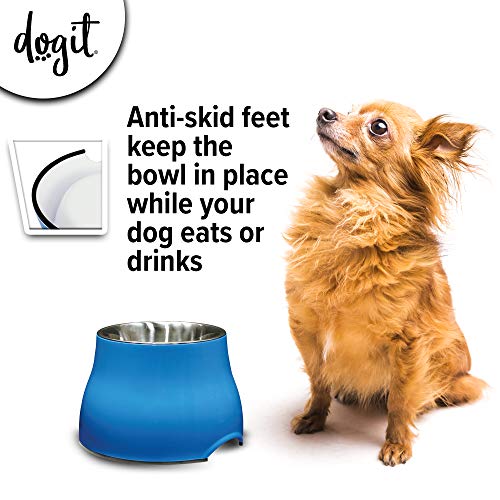 Elevated Dog Bowl (Small / Blue)