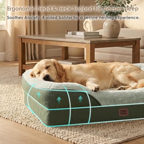 Orthopedic XXL Dog Bed for Large Dog (Green / 52x41x8)