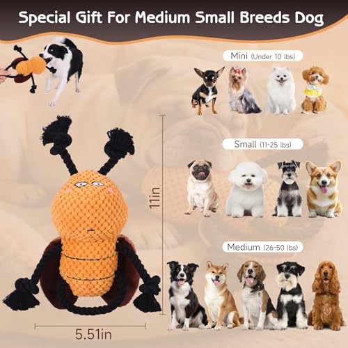 Cockroach Squeaky Dog Toy (Modern)
