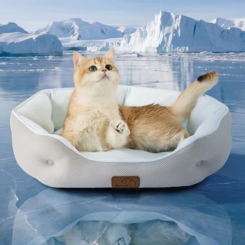 AeroFrost™ Cooling Small Dog Bed (20"L x 19"W x 6"Th / Arctic Cooling Blue)