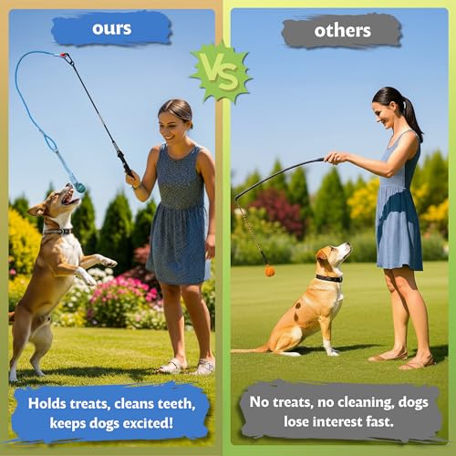 Flirt Pole for Dogs