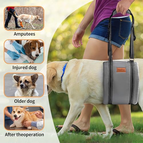Dog Lift Harness for Large Dogs (X-Large (Pack of 1) / Grey)