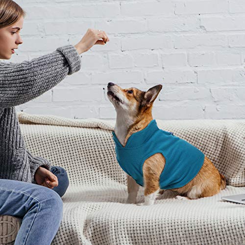 6 Pack Winter Dogs Sweater for Small Dogs Warm Clothes Fleece Vest with Leash Ring Sleeveless Dog Jacket for Little Medium Puppy Pet Unisex (Bright Colors / M)