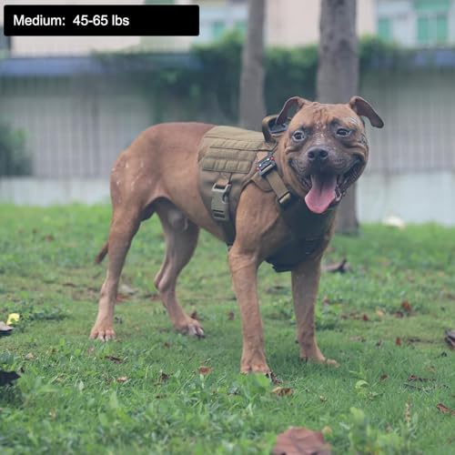 Tactical Dog Harness for Medium Dogs (Medium (Pack of 1) / Brown)