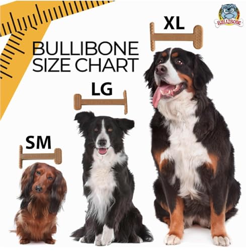 Nylon Dog Chew Toy for Aggressive Chewers (Large - 3 Pack)