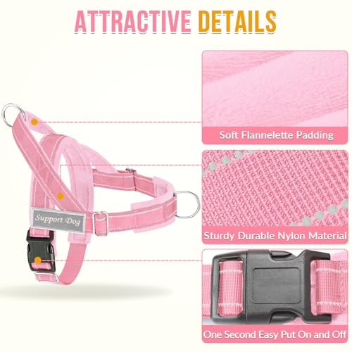 No Pull Dog Harness and Leash Set (Pink / Small)