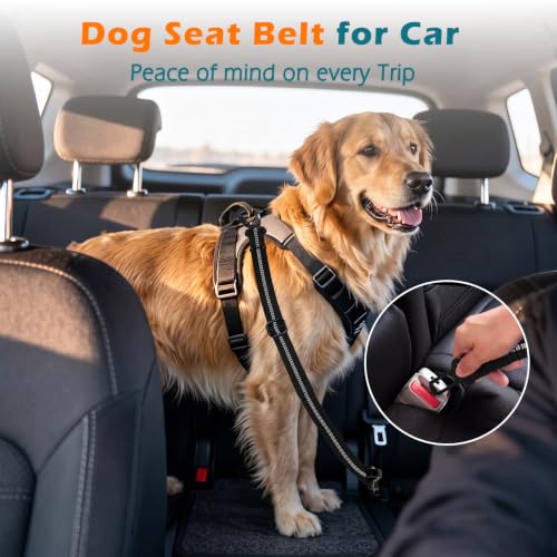 2 Pack Dog Seat Belt for Car (Black, Black / 2 Packs)