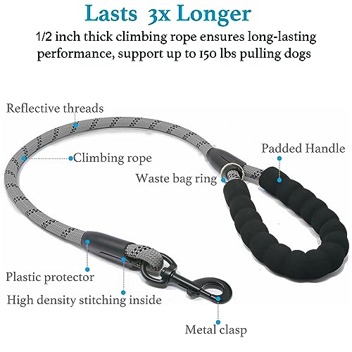 Double Dog Leash (Grey / Large)