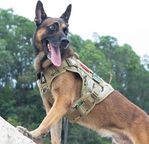 Tactical Dog Harness with Handle Adjustable for Medium Large Dogs (Medium / Multi-colored)