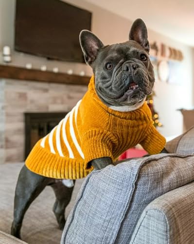 Cozy Soft Chenille Classy Striped Dog Sweater in Mustard (18 inch / Mustard)