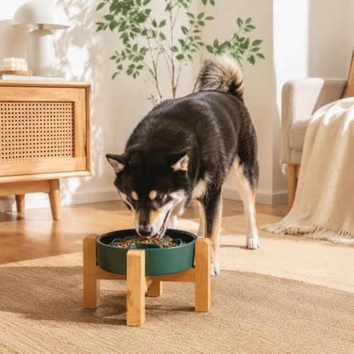 8.66 in Dog Bowl Ceramic Slow Feeder for Medium Large Dogs (Green / 8.26in)