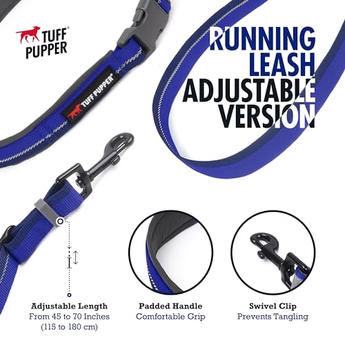 Hands Free Adjustable Length Dog Leash (Blazing Blue)