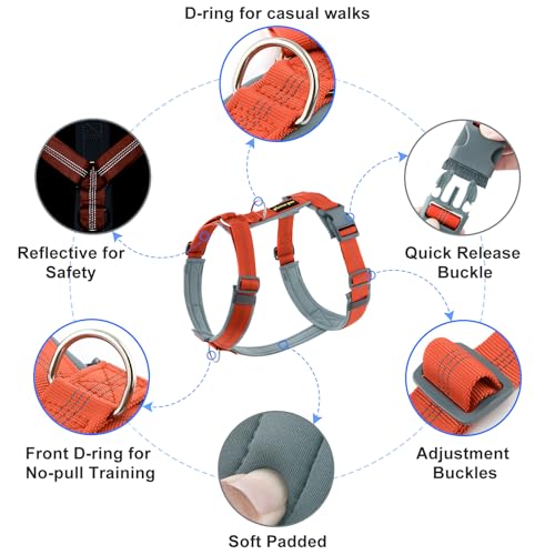 No Pull Dog Harness (XS / Orange)