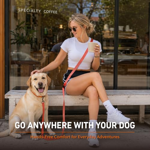Hands Free Dog Leash (6–9.5 ft / Orange)