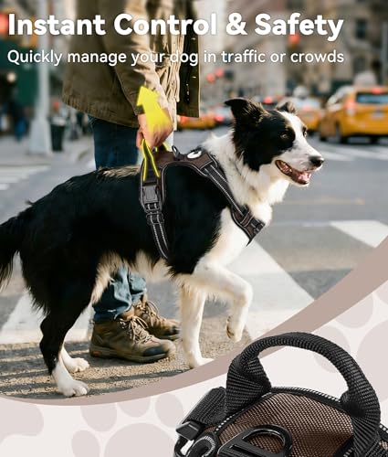 No Pull Dog Harness for Small Dogs (Small / Brown)