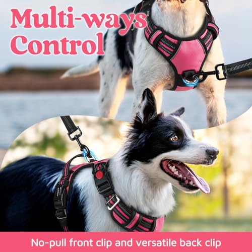 Dog Harness for Large (Pink / X-Large)