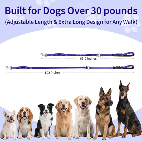 Hands Free Dog Leash by Kazazoo (BLUE Bungee / M)