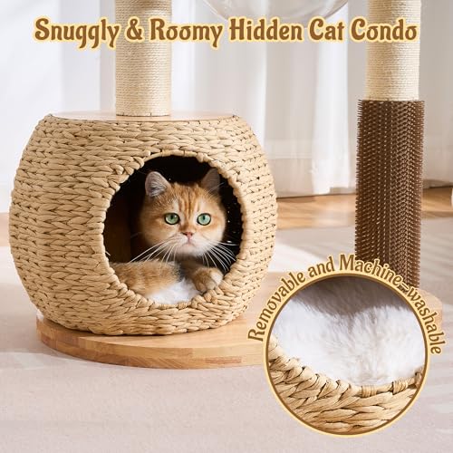 Modern Cat Tree for Indoor Small & Medium Cats (Natural w/ Capsule-38")