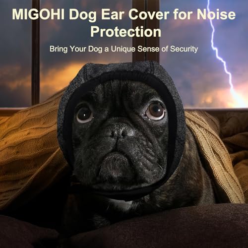 Dog Calming Hoodie (S / Grey)