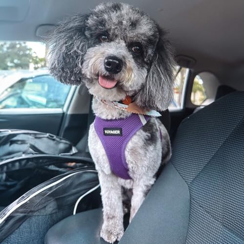 Voyager Step in Air All Weather Mesh Harness and Reflective Dog 5ft Leash Combo with Neoprene Handle (Harness Leash Set (Purple) / XS (Chest: 13 - 14.5"))
