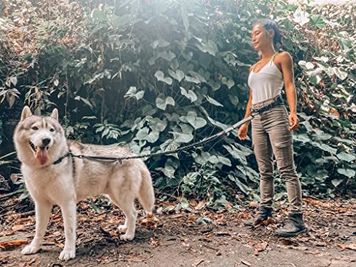 Hands Free Bungee Dog Leash