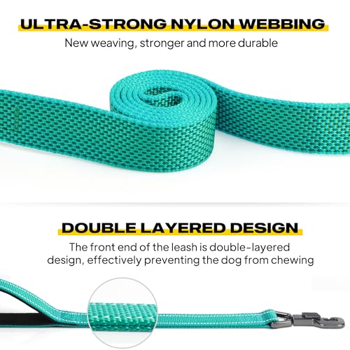 Heavy Duty Dog Leash for Medium Large Dogs (6 Feet (Pack of 1) / Teal)
