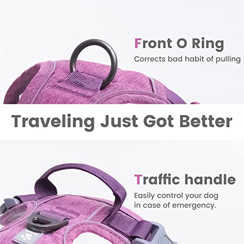 Dog Harness No (XS (Doesn't include O rings(Chest: 12"-17" )) / Orchid Purple)