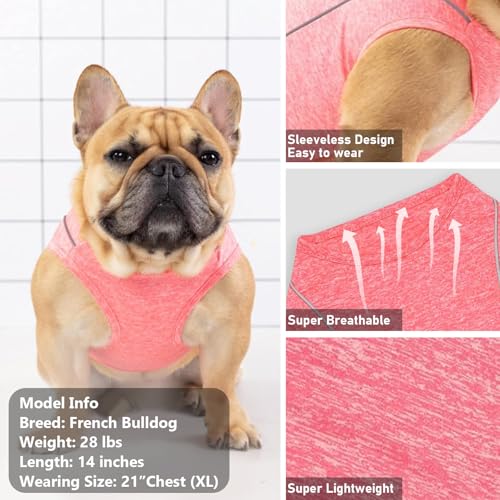 Reflective Dog Shirt (Large (13-19lbs) / 3#Coral Red)