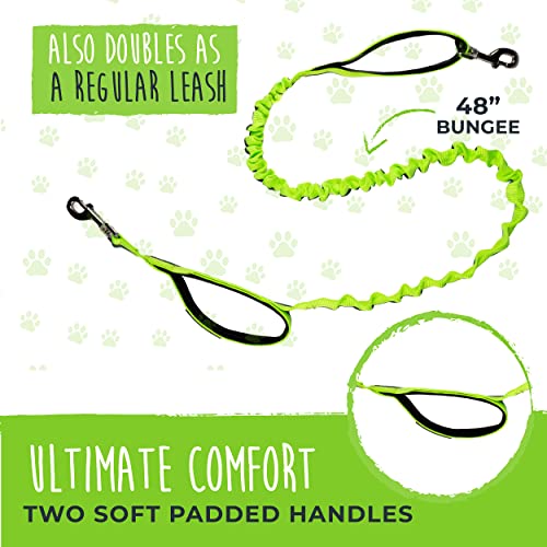 Hands Free Dog Leash (48" / Green)